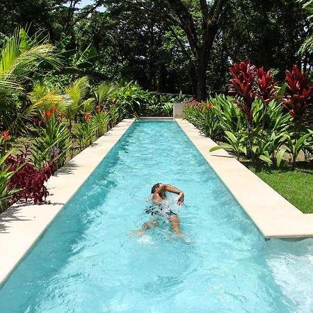 Feeling Trees Jungle Lodge Cabuya  المظهر الخارجي الصورة