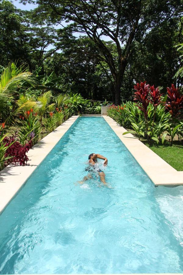 Feeling Trees Jungle Lodge Cabuya  المظهر الخارجي الصورة