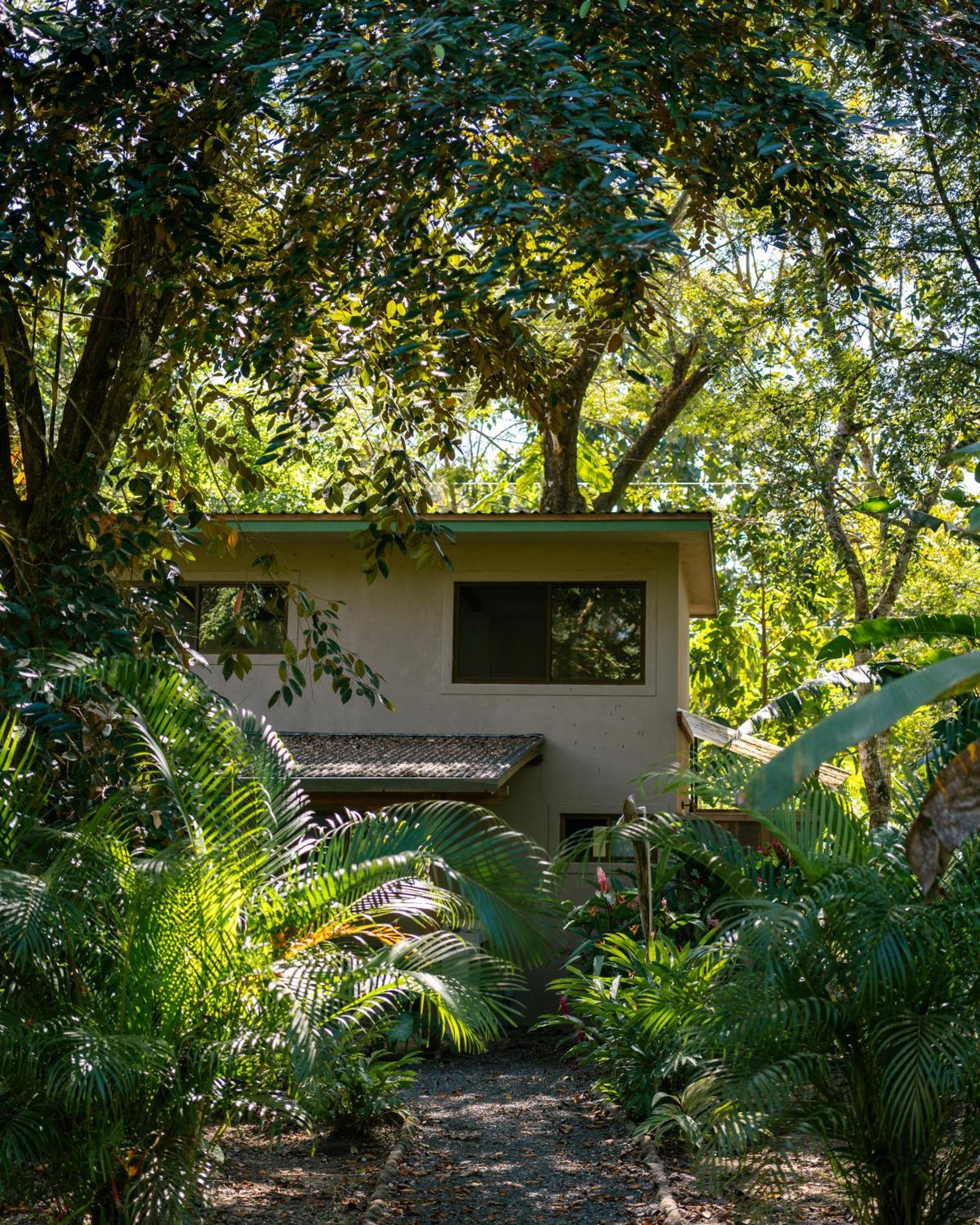 Feeling Trees Jungle Lodge Cabuya  المظهر الخارجي الصورة
