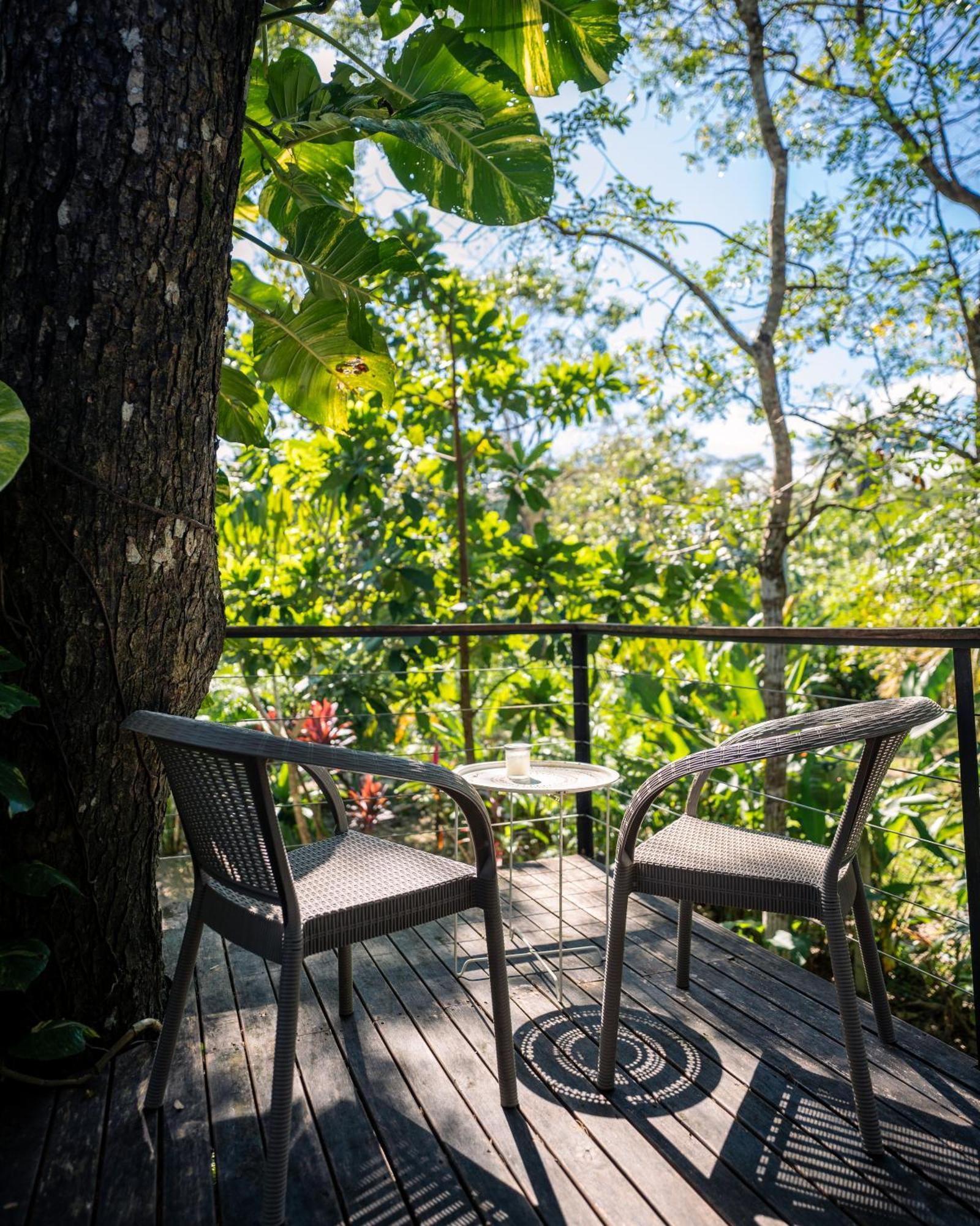 Feeling Trees Jungle Lodge Cabuya  المظهر الخارجي الصورة