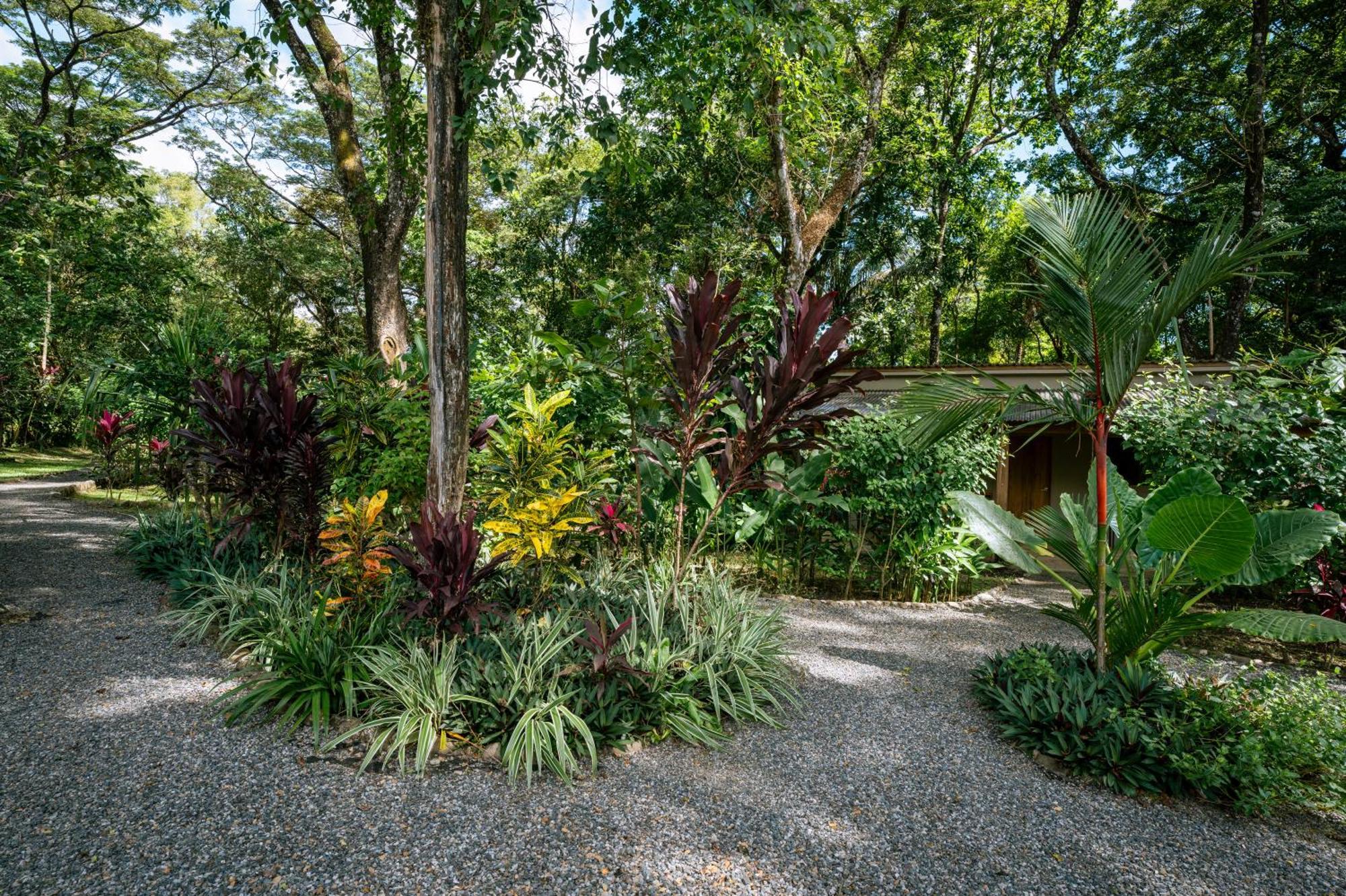 Feeling Trees Jungle Lodge Cabuya  المظهر الخارجي الصورة