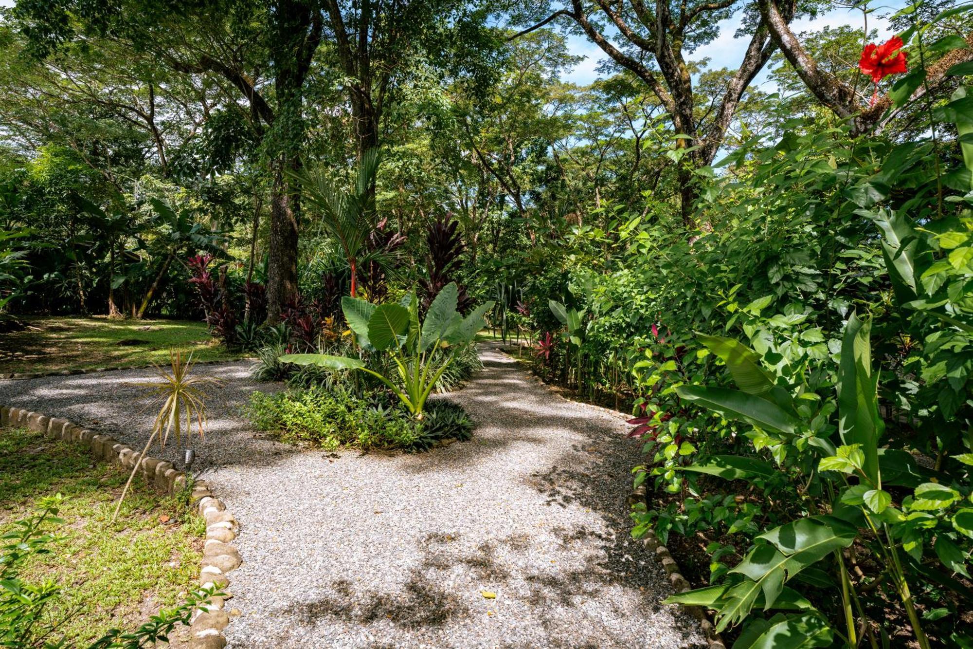 Feeling Trees Jungle Lodge Cabuya  المظهر الخارجي الصورة