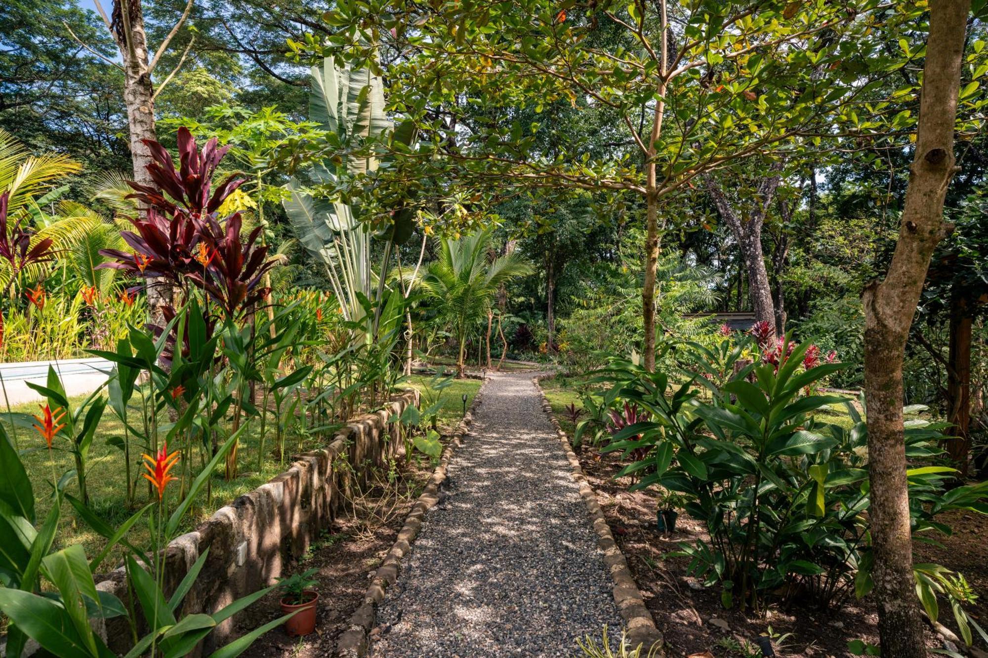 Feeling Trees Jungle Lodge Cabuya  المظهر الخارجي الصورة