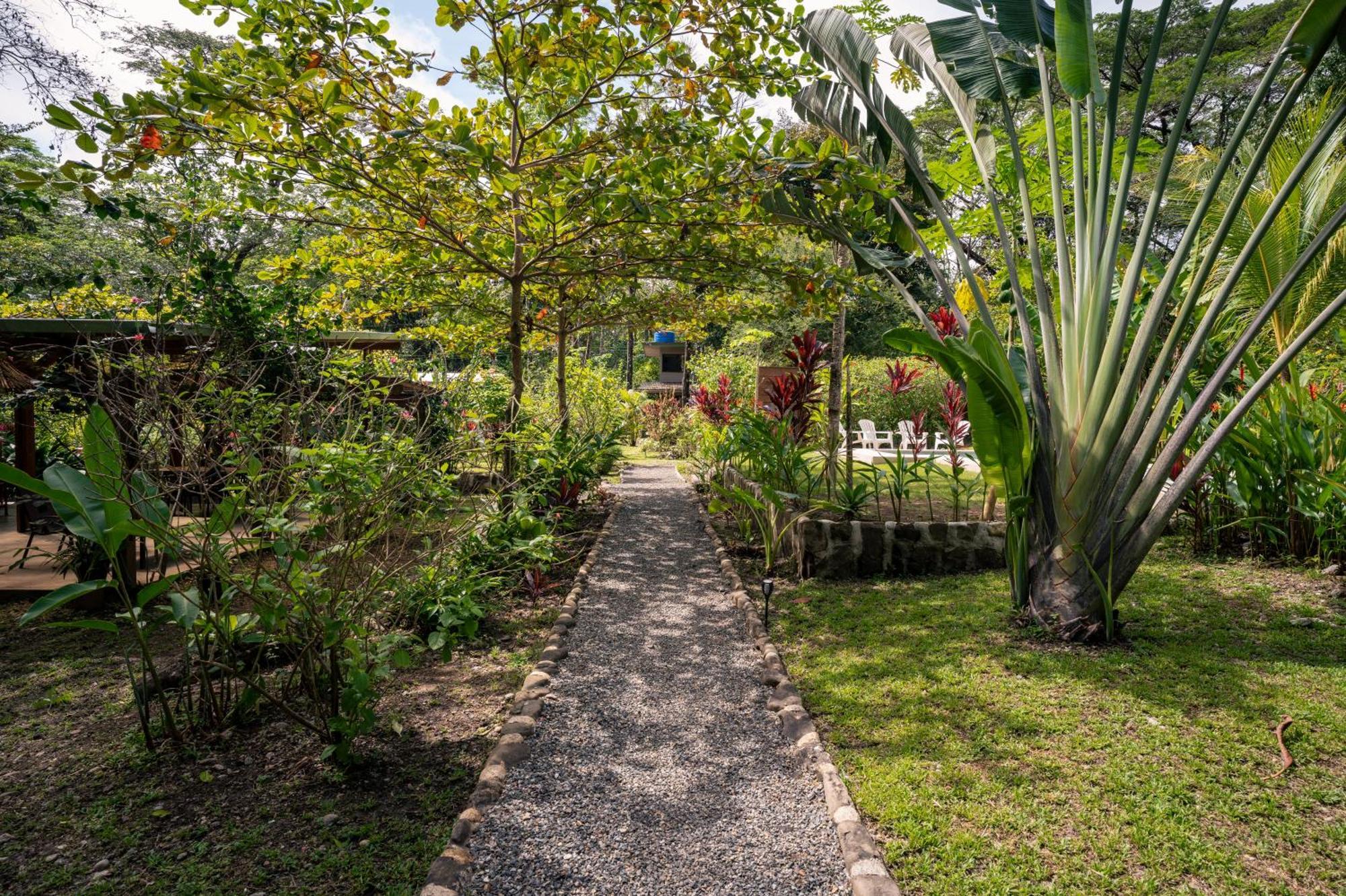 Feeling Trees Jungle Lodge Cabuya  المظهر الخارجي الصورة
