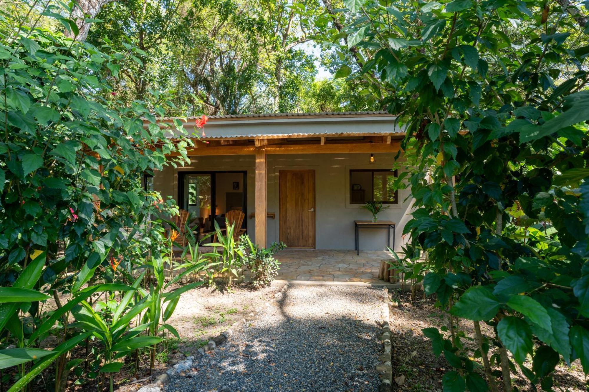 Feeling Trees Jungle Lodge Cabuya  المظهر الخارجي الصورة