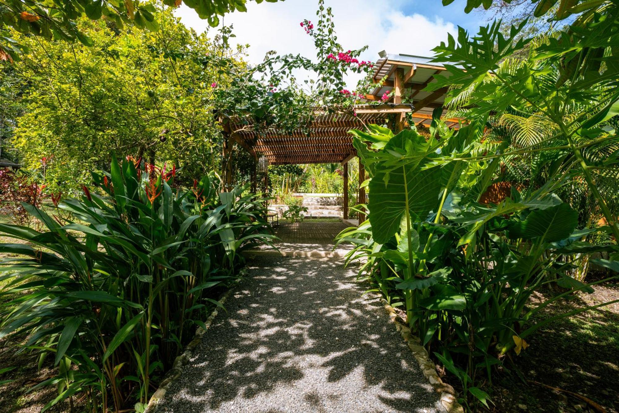 Feeling Trees Jungle Lodge Cabuya  المظهر الخارجي الصورة