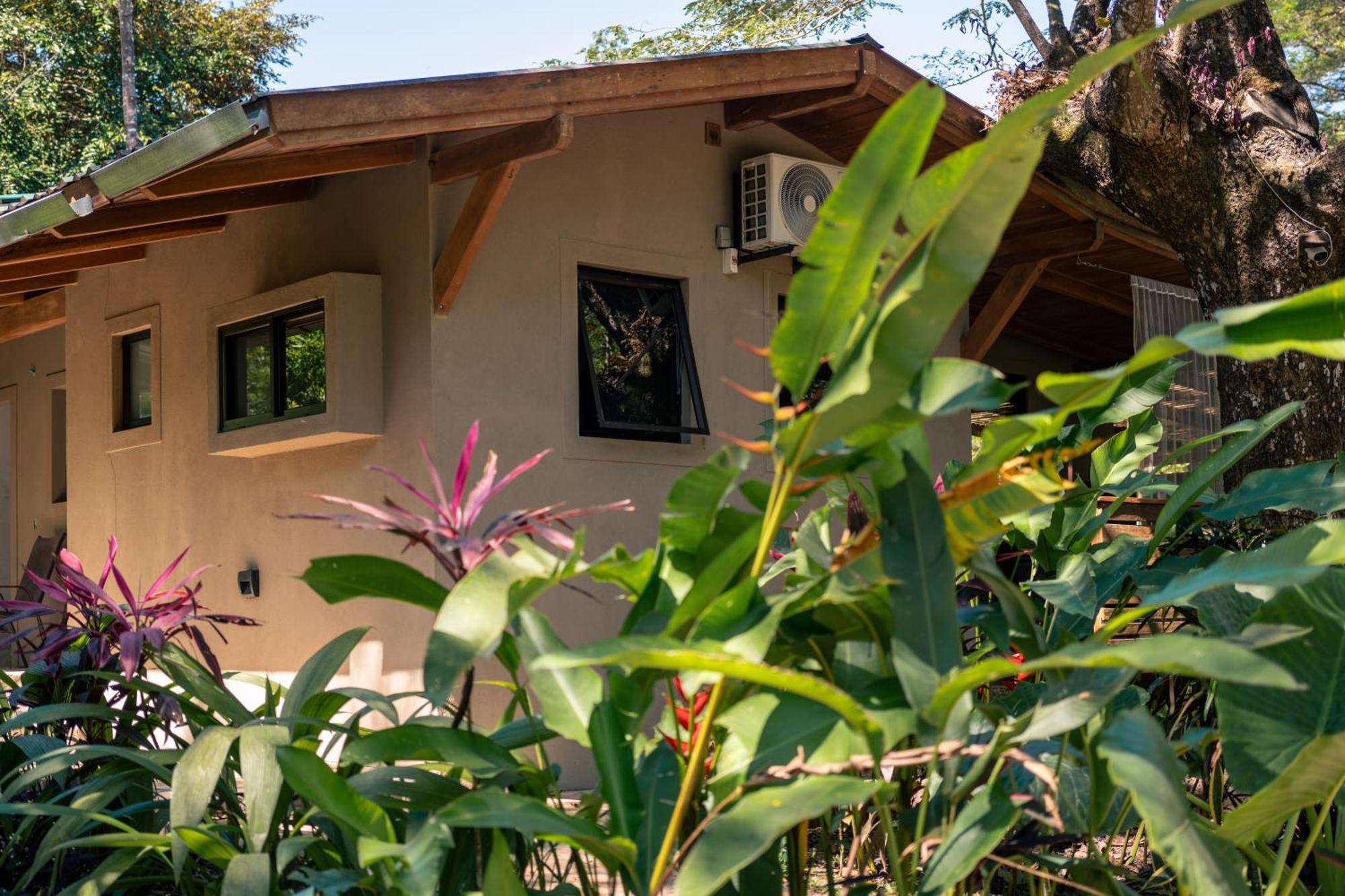 Feeling Trees Jungle Lodge Cabuya  المظهر الخارجي الصورة