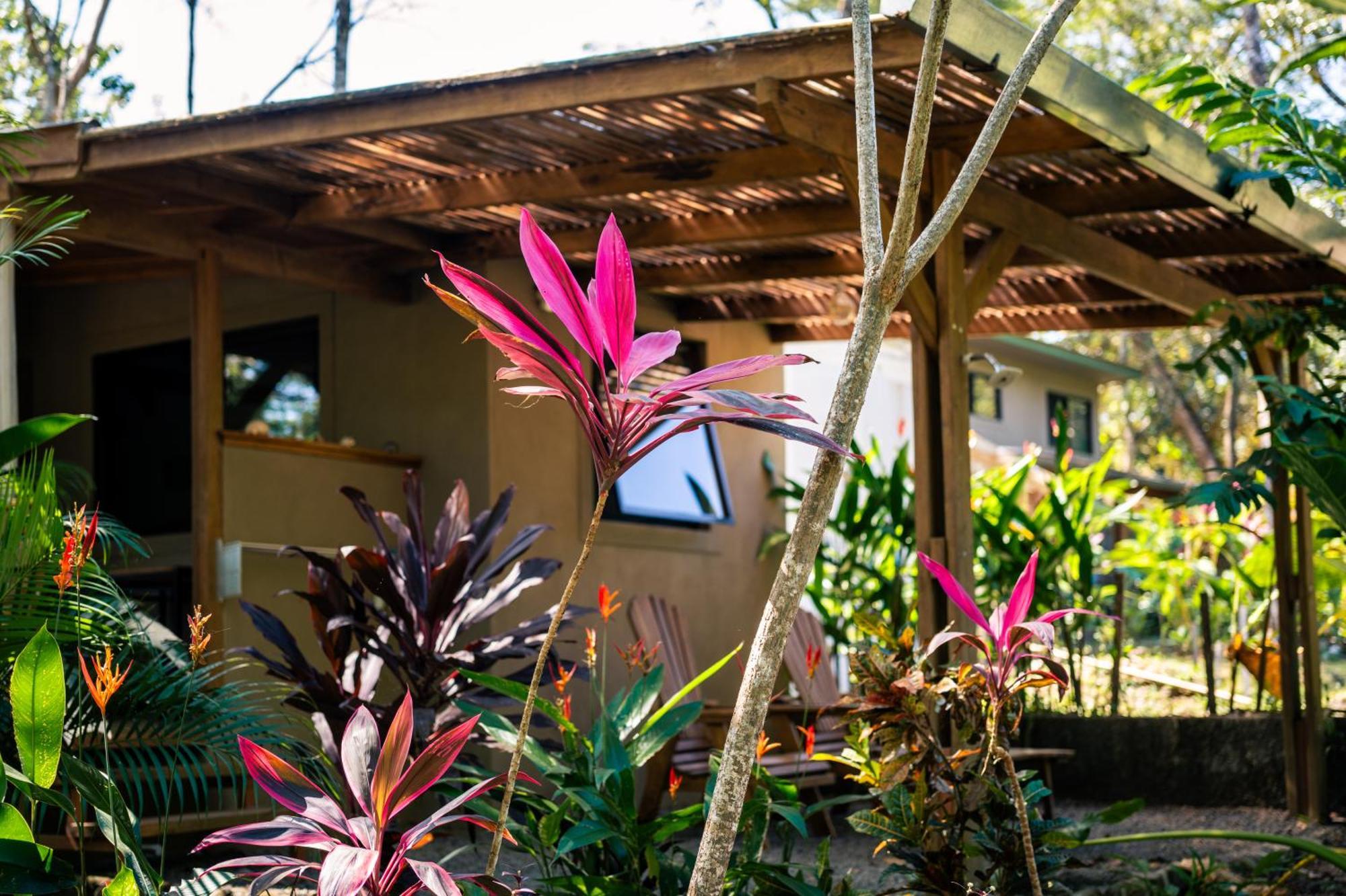 Feeling Trees Jungle Lodge Cabuya  المظهر الخارجي الصورة