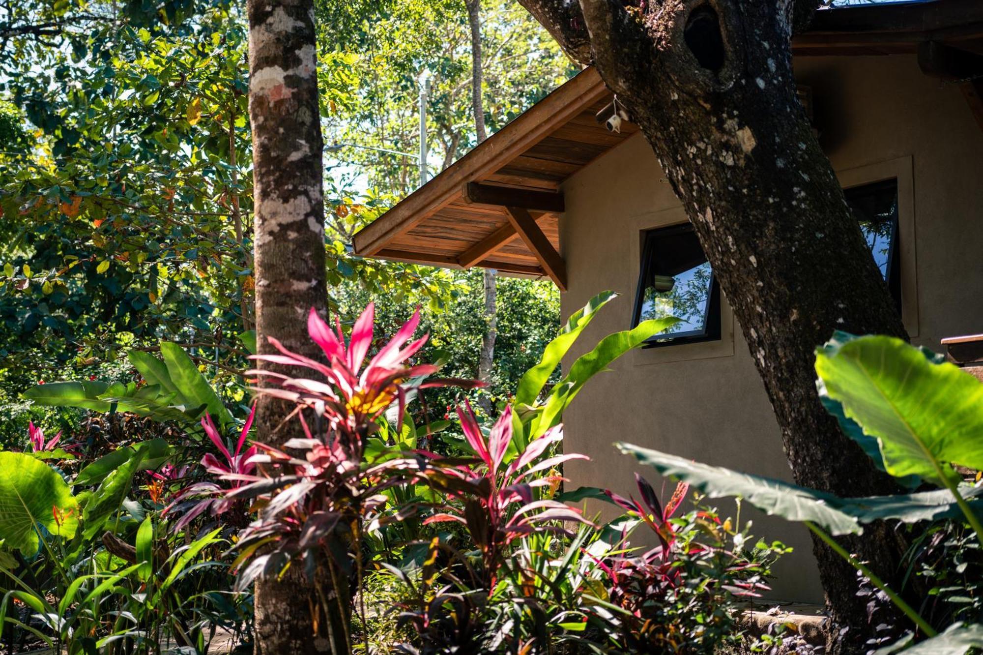 Feeling Trees Jungle Lodge Cabuya  المظهر الخارجي الصورة