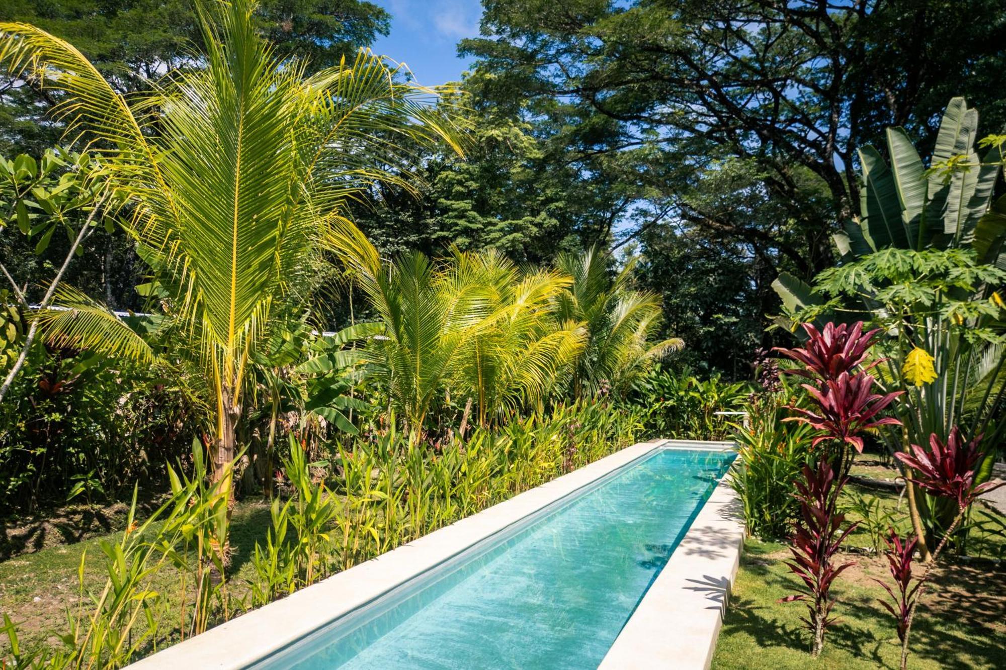 Feeling Trees Jungle Lodge Cabuya  المظهر الخارجي الصورة